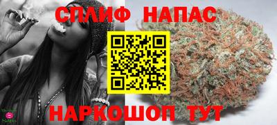 гидра Татарск