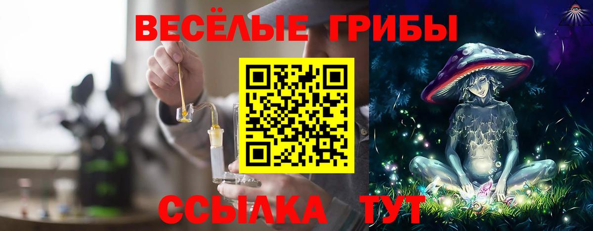Галлюциногенные грибы MAGIC MUSHROOMS Асбест