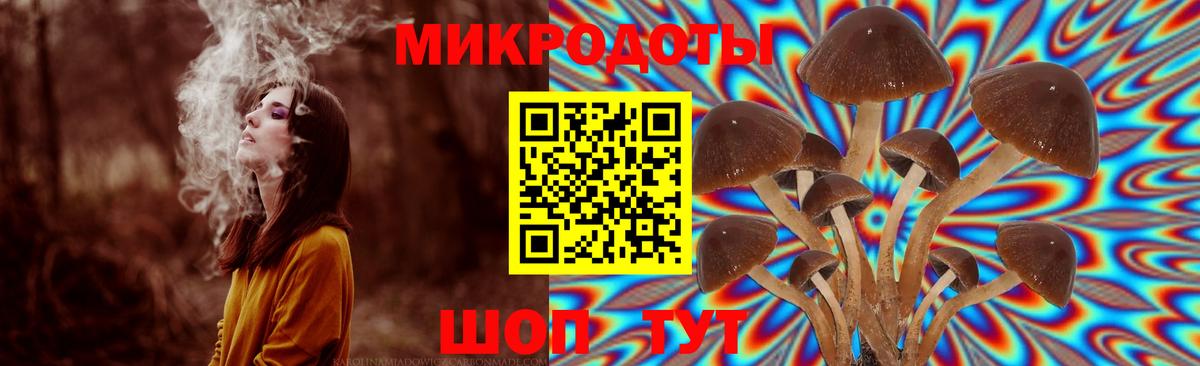 Галлюциногенные грибы GOLDEN TEACHER  Галлюциногенные грибы Psilocybine cubensis  Асбест  Вход с VPN 